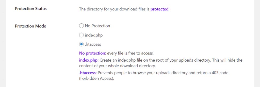 Warum Website-Sicherheit wichtig ist 31 protect files filr
