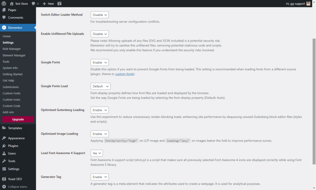 So beschleunigen Sie Elementor 35 elementor speed settings