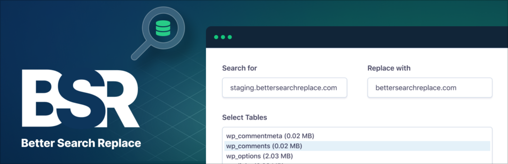 So schalten Sie Ihre statische Website live: Domains, URLs und mehr 39 Better Search Replace
